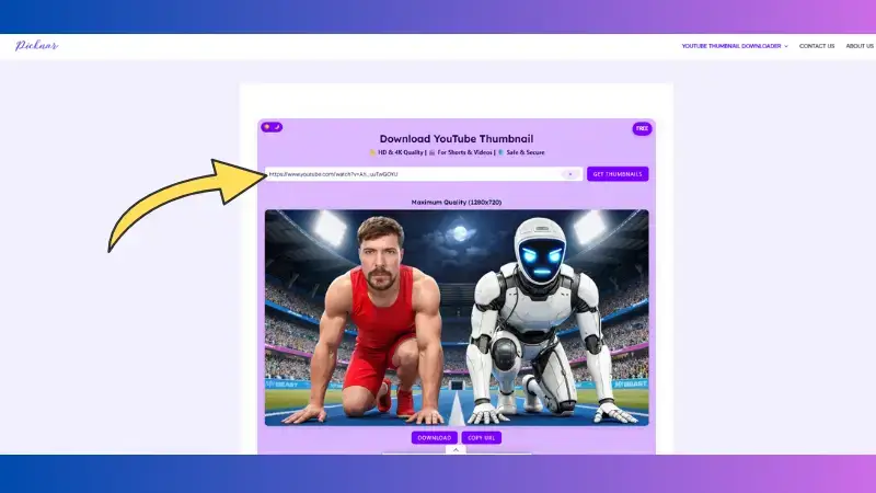 Picknar image number 21