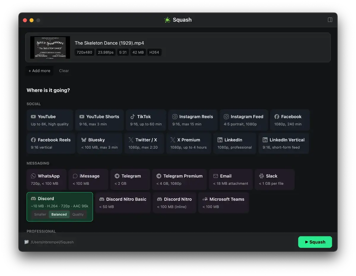 Squash Video image number 11