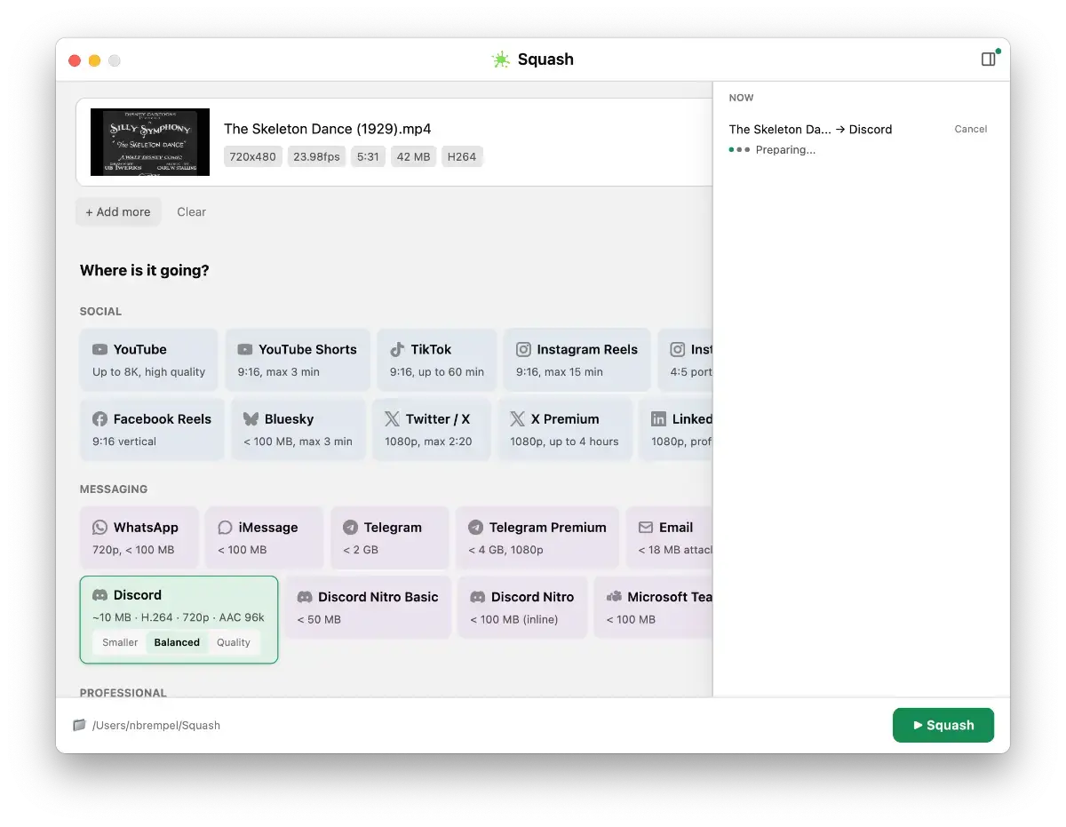 Squash Video image number 21