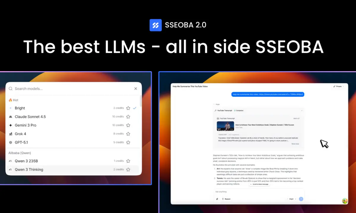 SSEOBA 2.0 image number 21