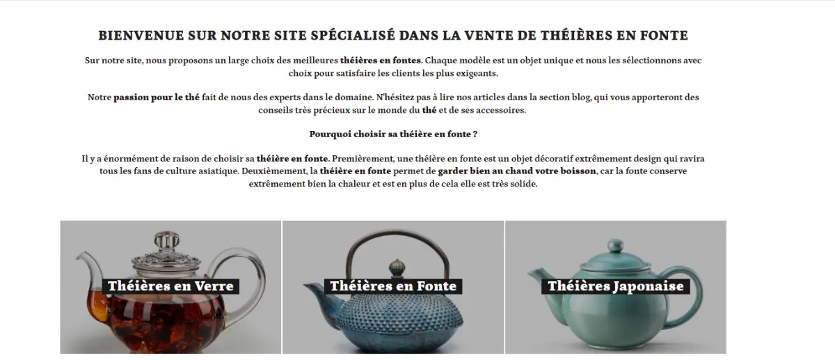 Theiere-en-fonte image number 11