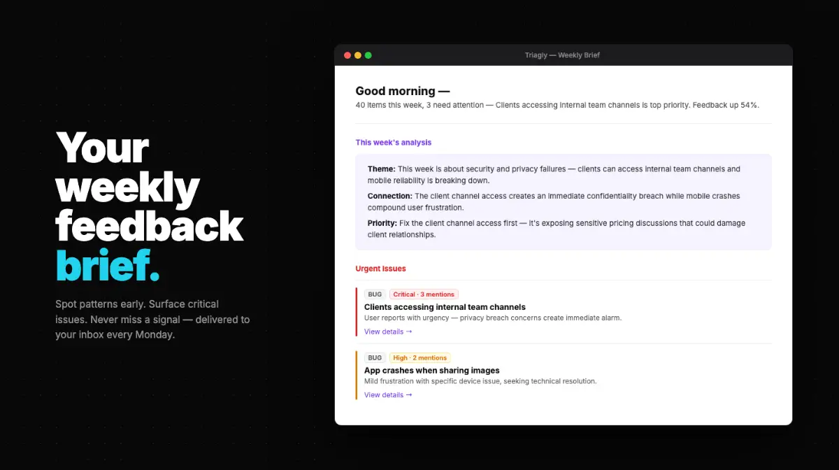 Triagly image number 01