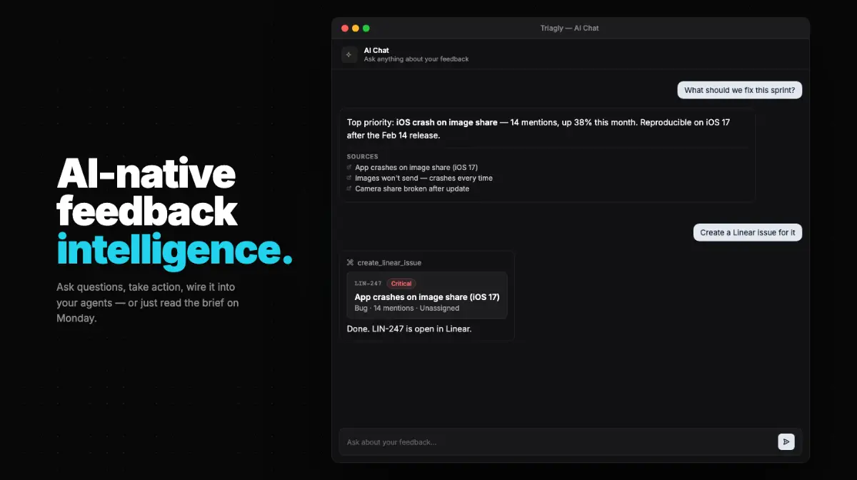 Triagly image number 11