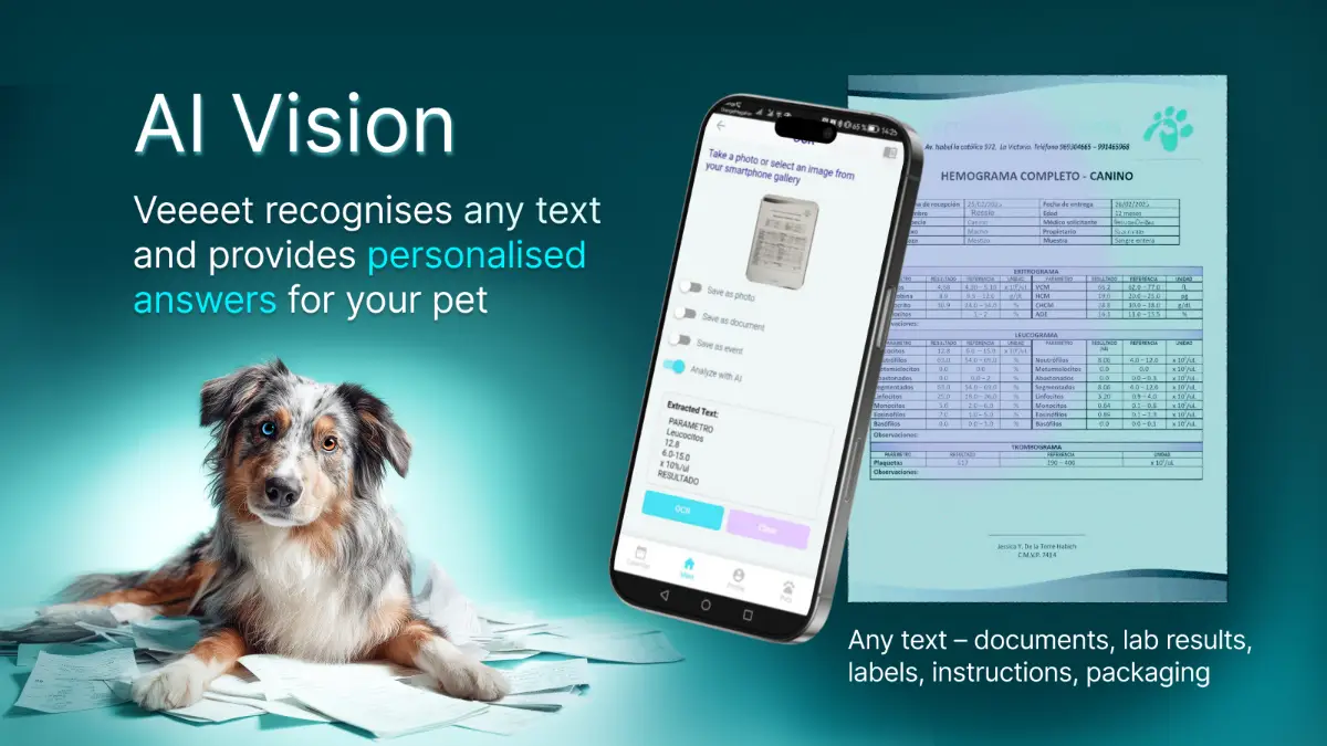 Veeeet image number 11