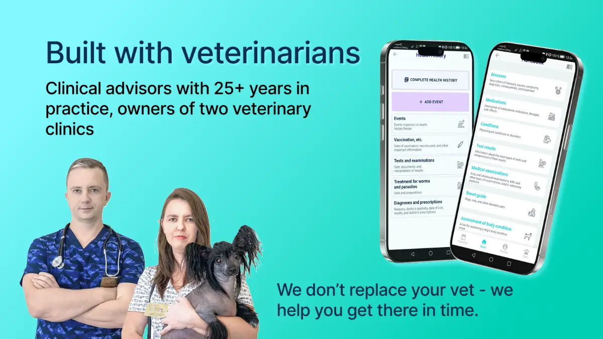 Veeeet image number 31