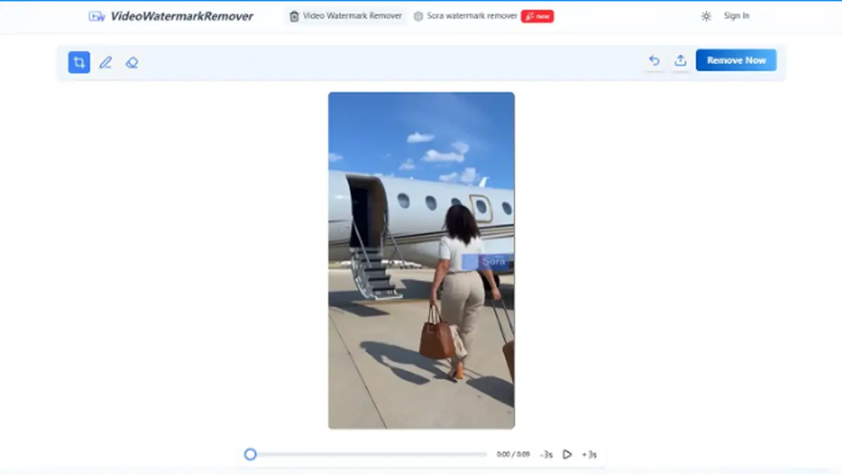 Video Watermark Remover image number 11