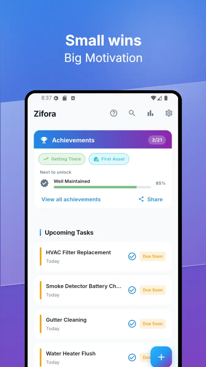 Zifora image number 11