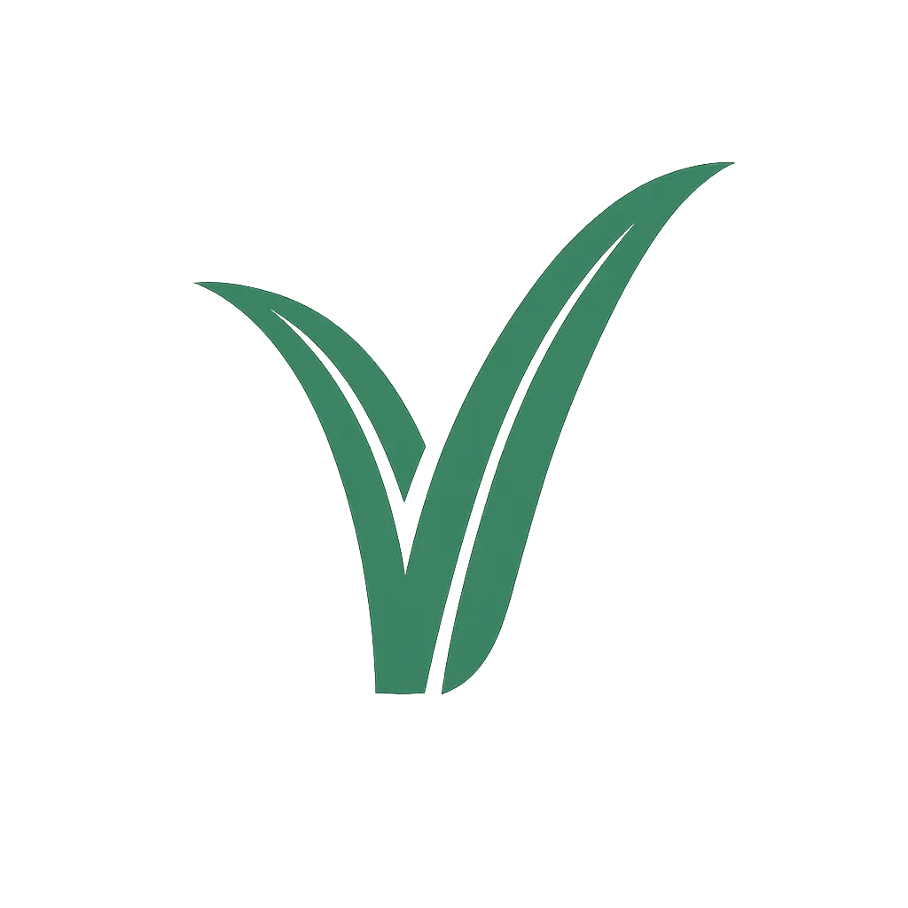 VCFY image number 01