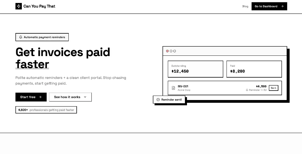 Can You Pay That product image