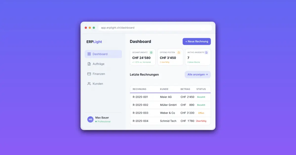 ERPLight image number 01