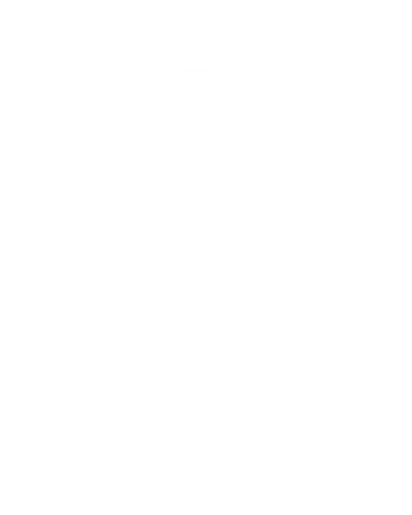 brainbaby product image