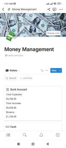 Money Management Notion Template