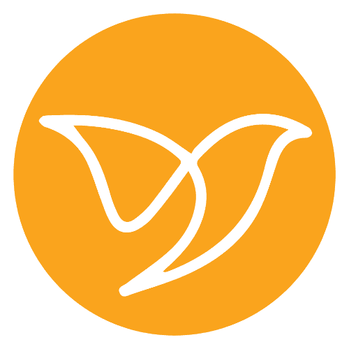 Wordpress forms to Salesforce