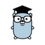 Golang College