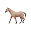 Horse Browser