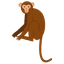 MonkeyLang
