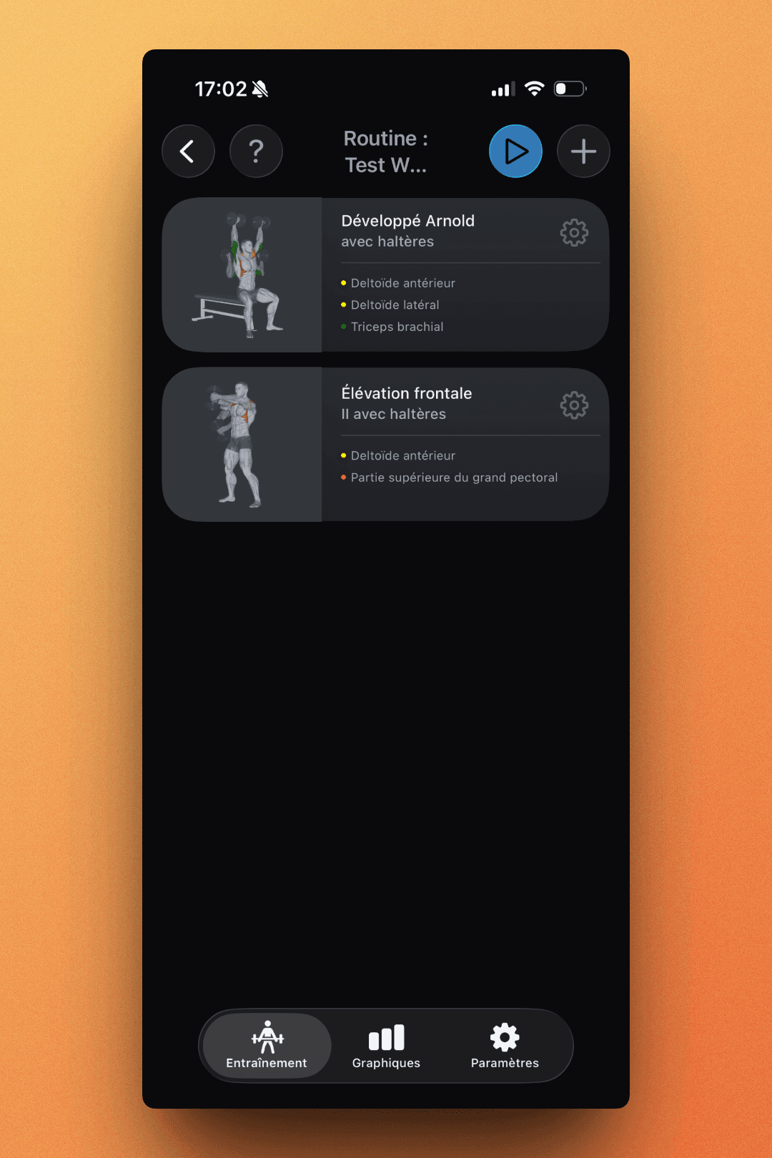 Routine overview showing exercises with muscle targeting