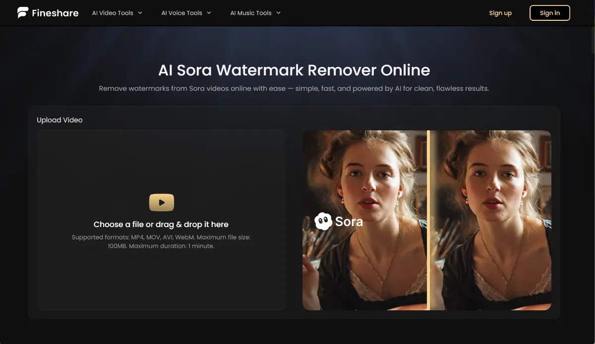 Sora Watermark Remover - Fineshare screenshot 2