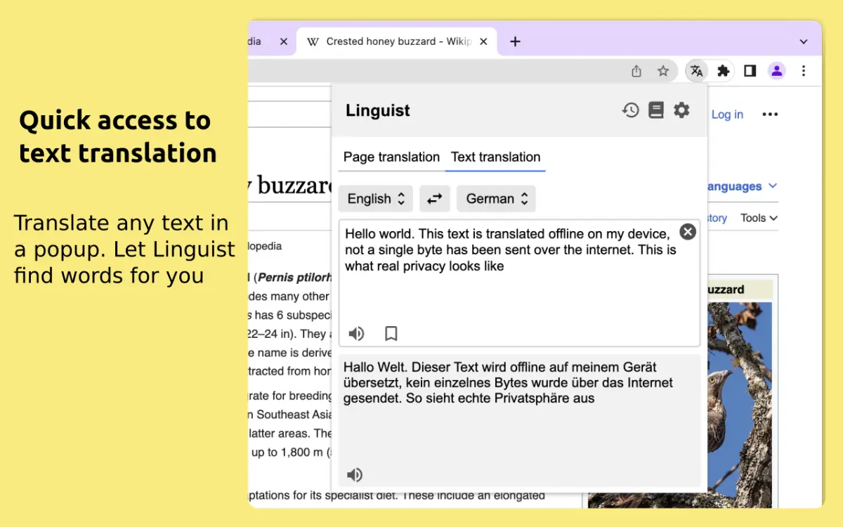 Linguist screenshot 3