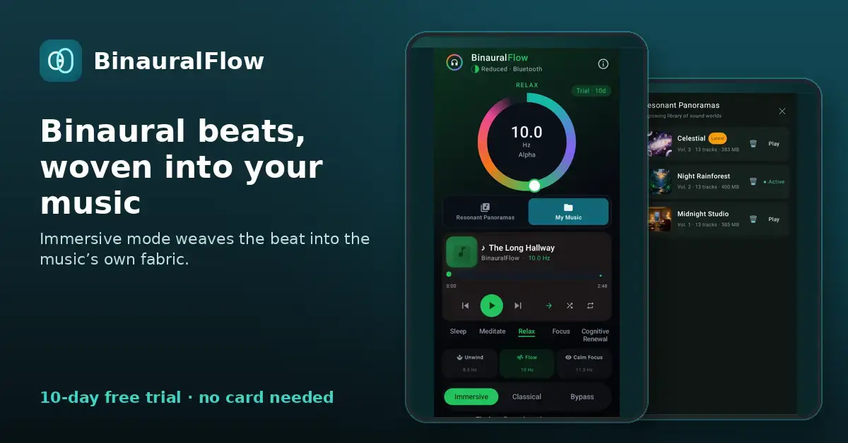 BinauralFlow screenshot 4