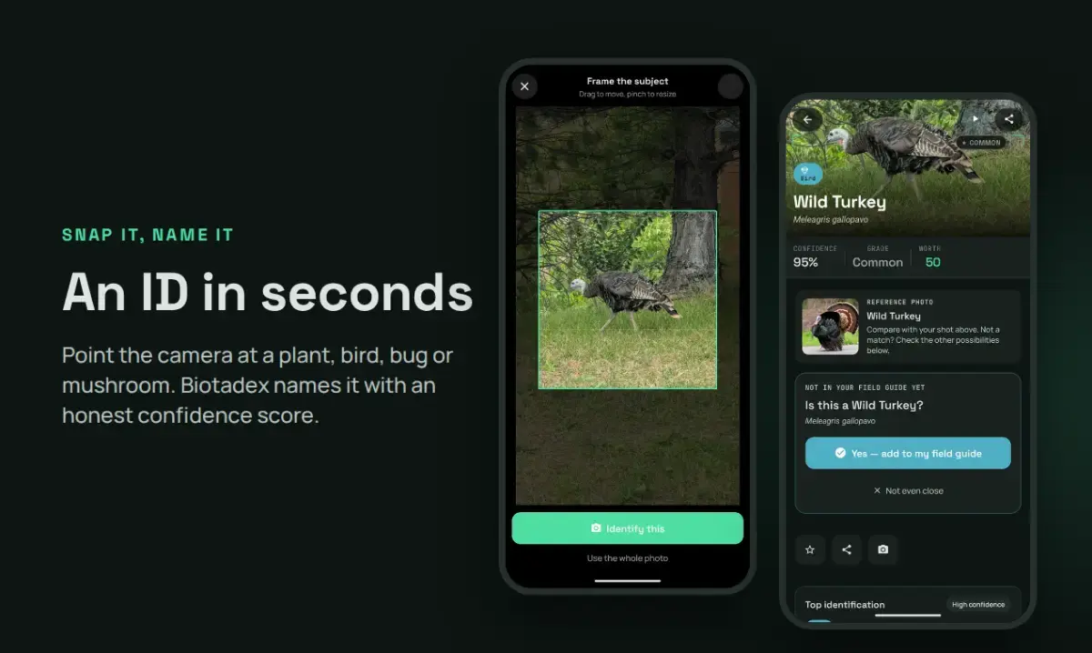 Biotadex screenshot 2