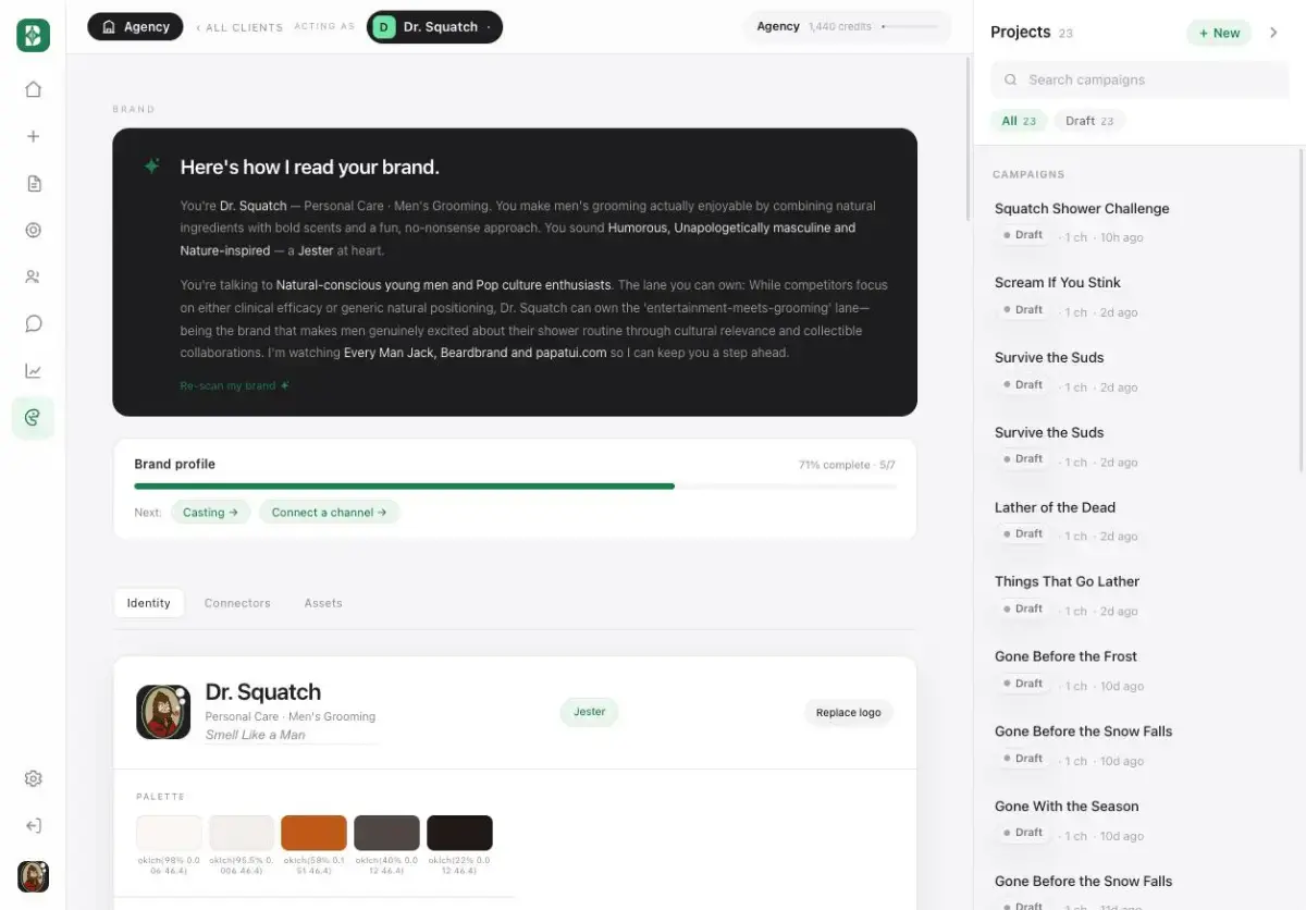 BrandFlow screenshot 2