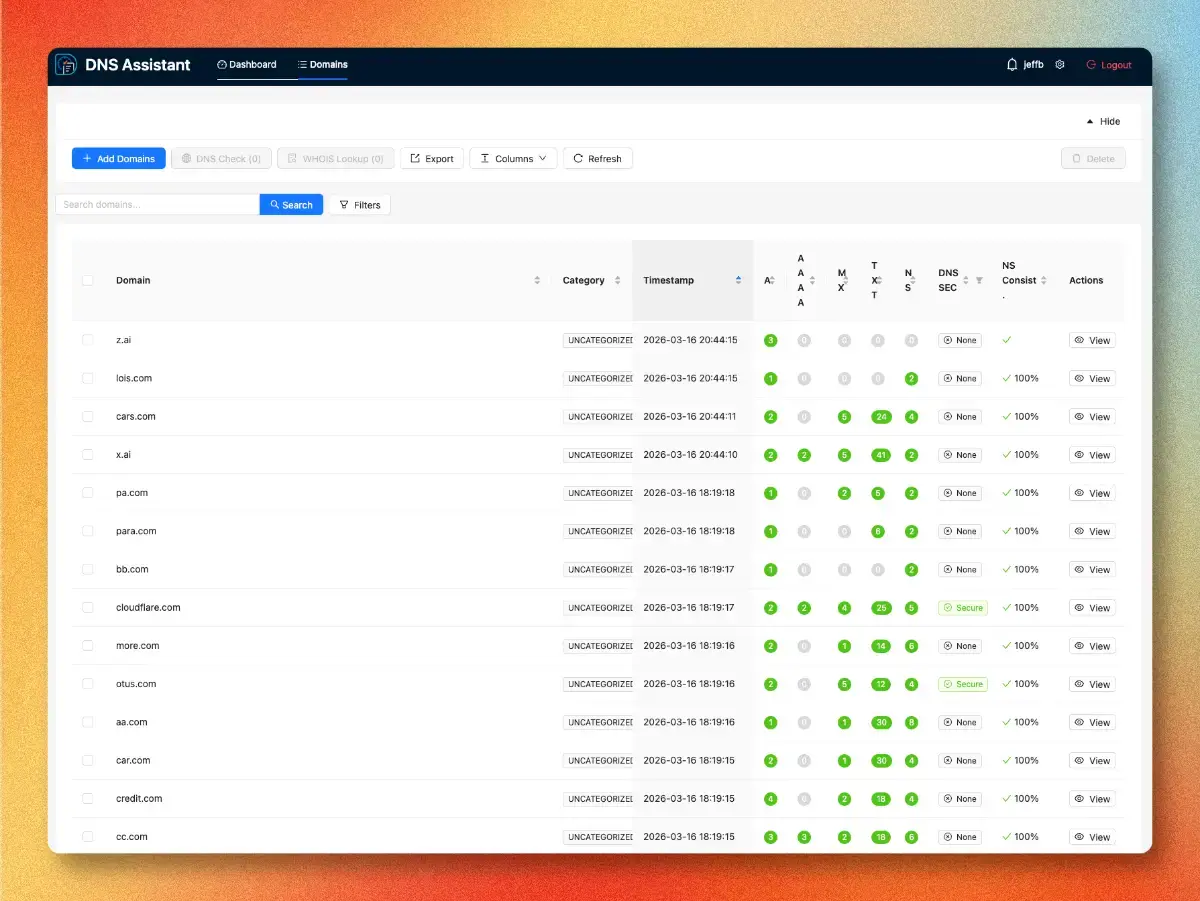 DNS Assistant screenshot 2