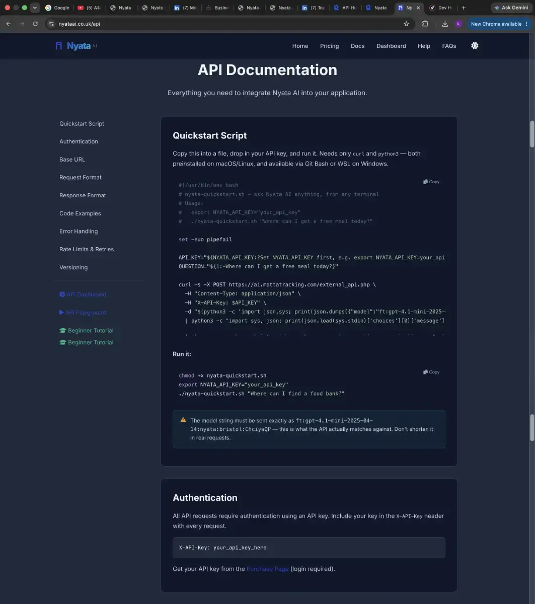 Nyata AI API screenshot 2