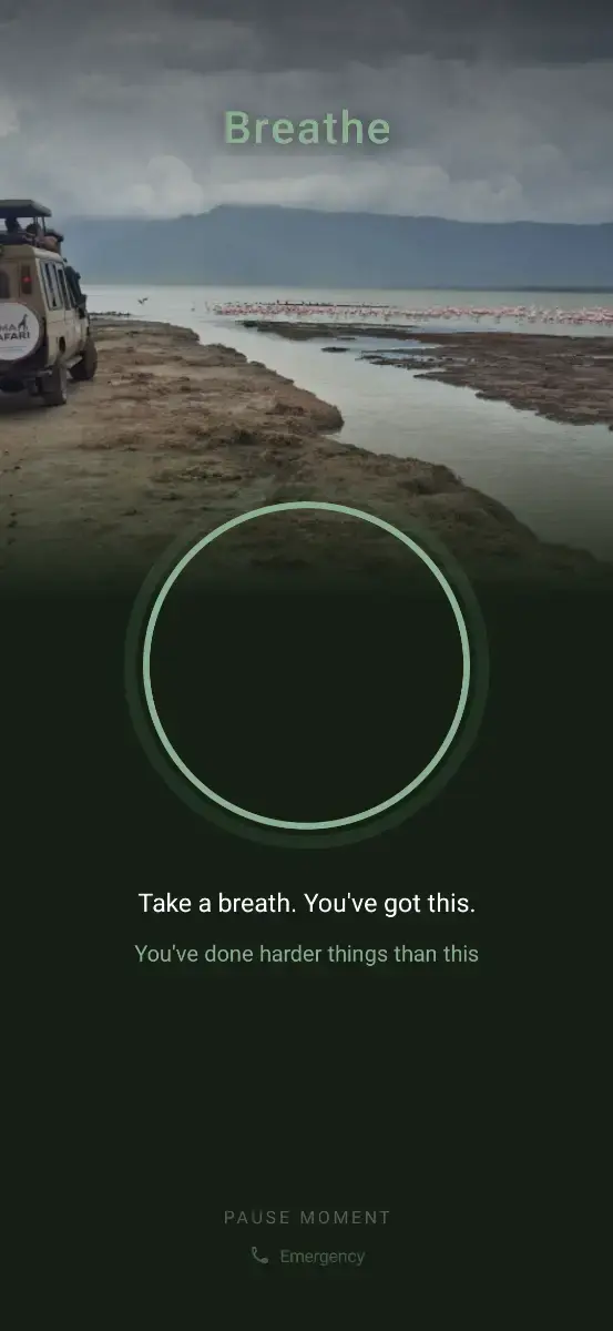 Pause Moment screenshot 3