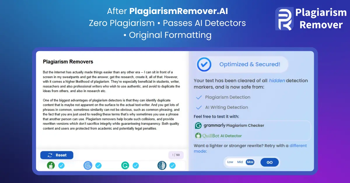 PlagiarismRemoverAI screenshot 2