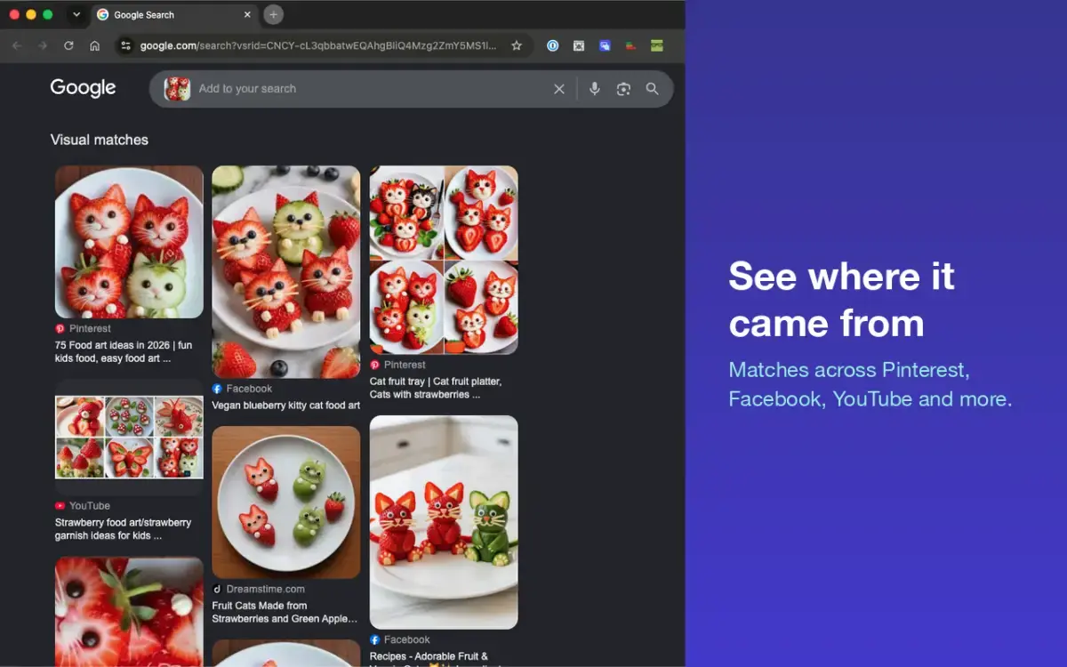 Reverse Image Search screenshot 2