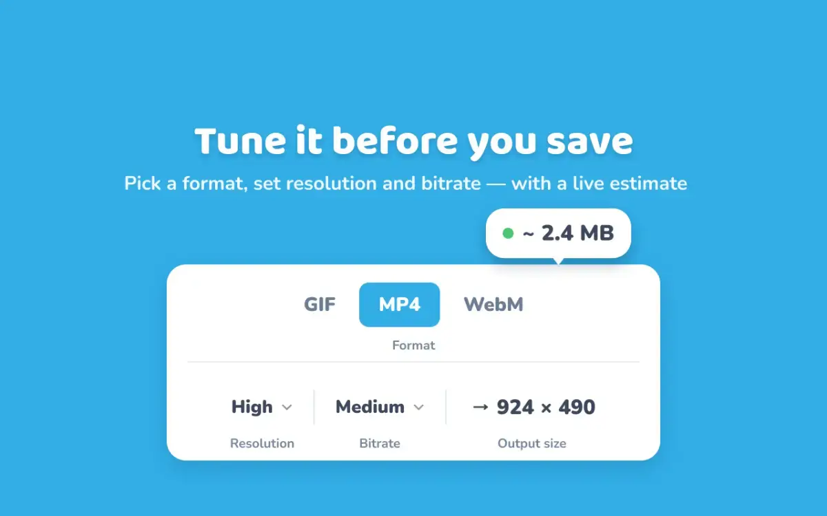 Screen To GIF screenshot 3