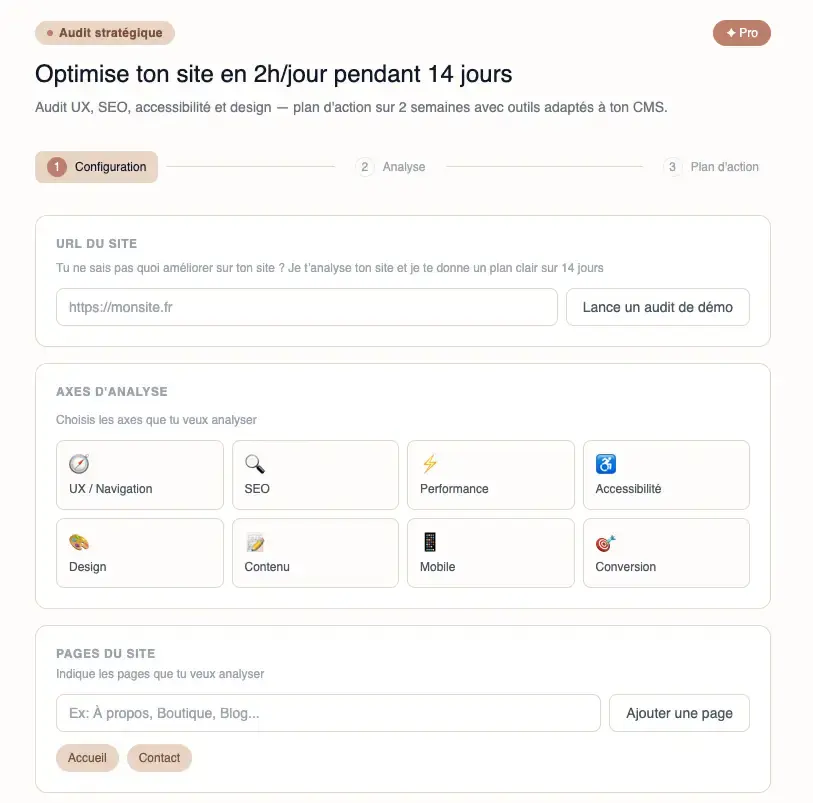 Site audit screenshot 2