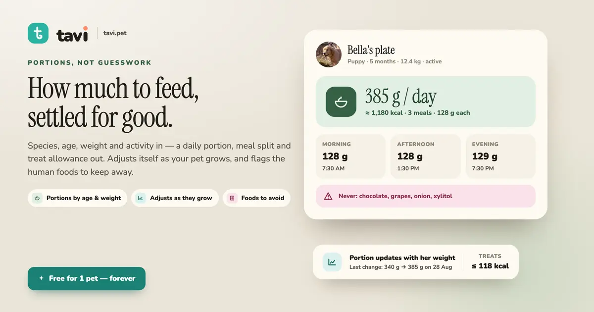 Tavi : Pet Health Tracker screenshot 3