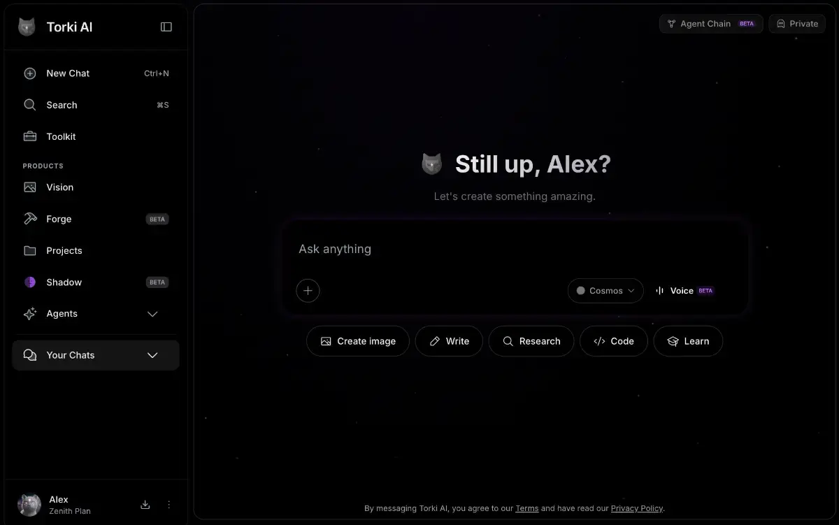 Torki AI screenshot 2