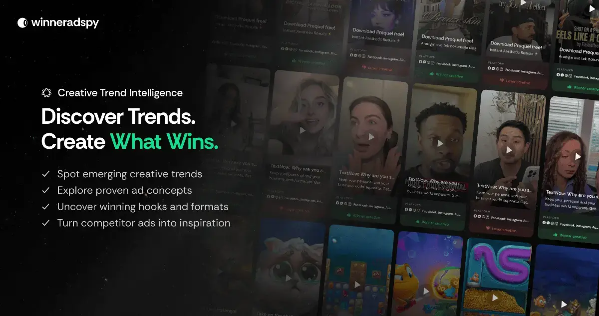 WinnerAdSpy screenshot 2