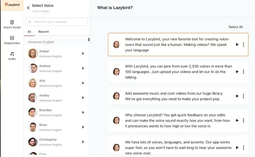 Lazybird product image