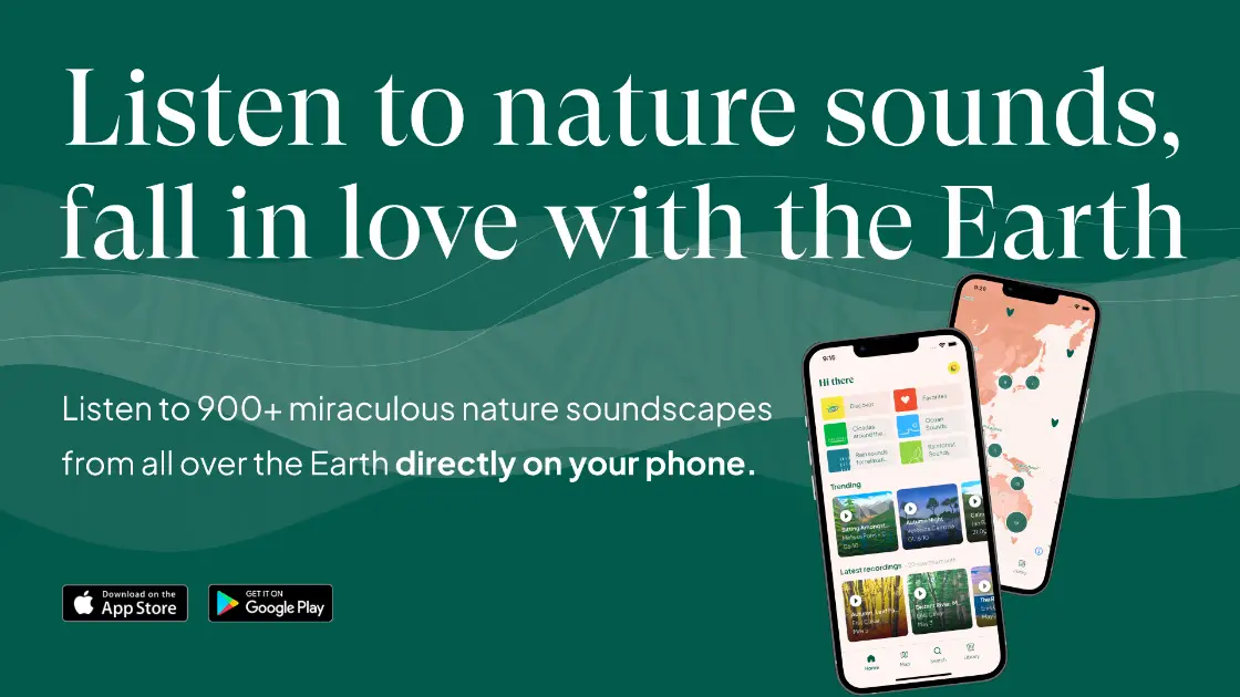 Earth.fm app product image