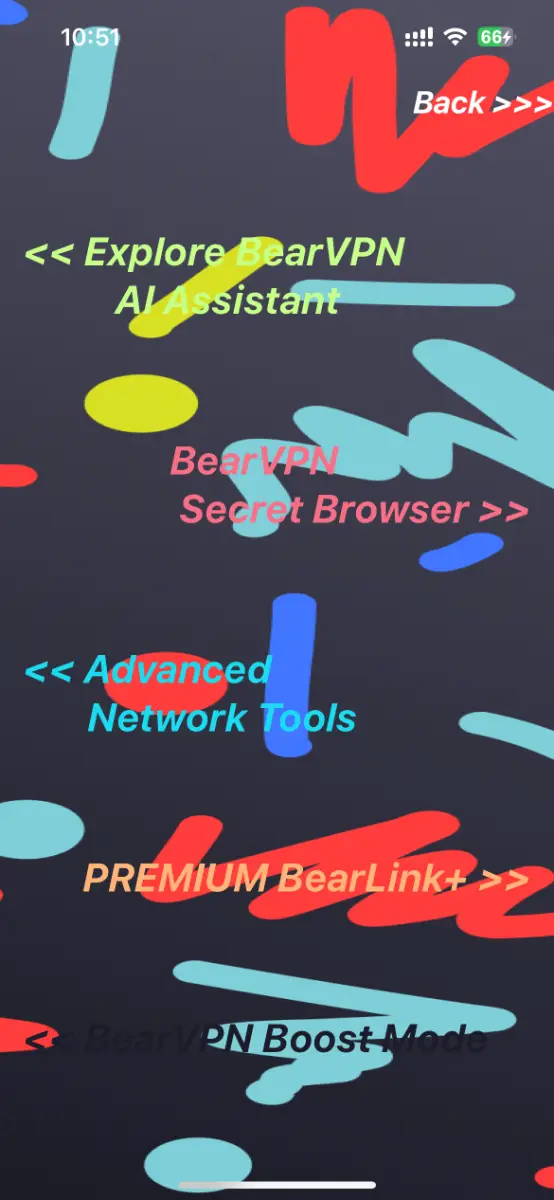 Bear VPN screenshot 2