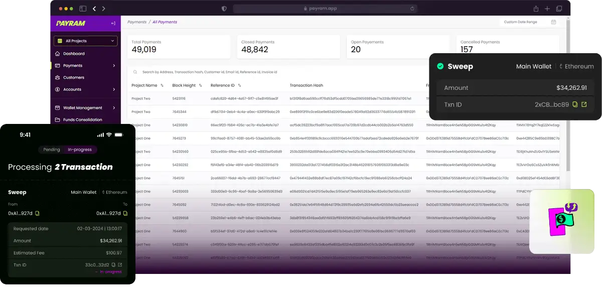 PayRam screenshot 3
