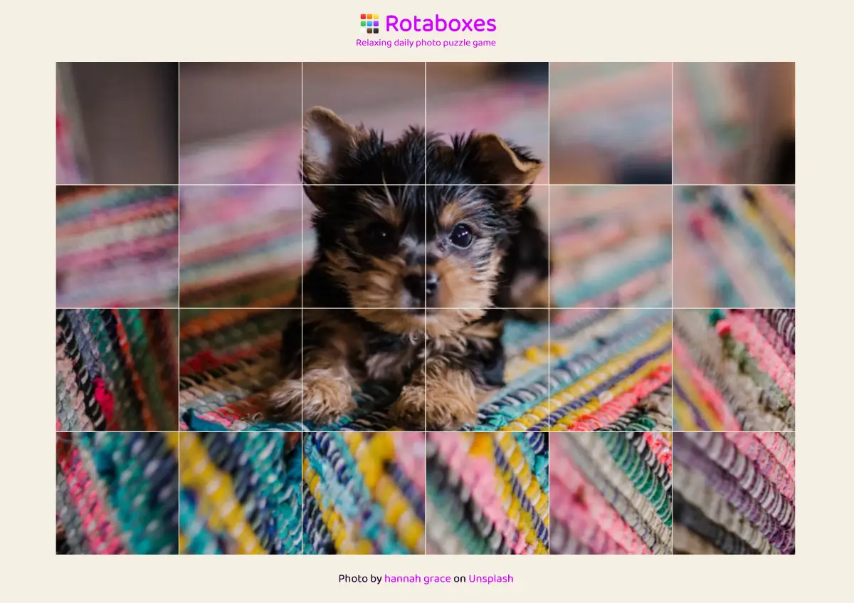 Rotaboxes screenshot 2