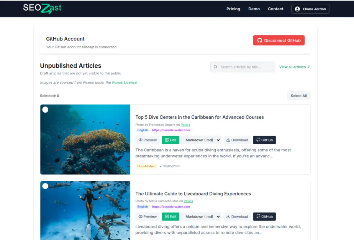 SeoZast screenshot 3