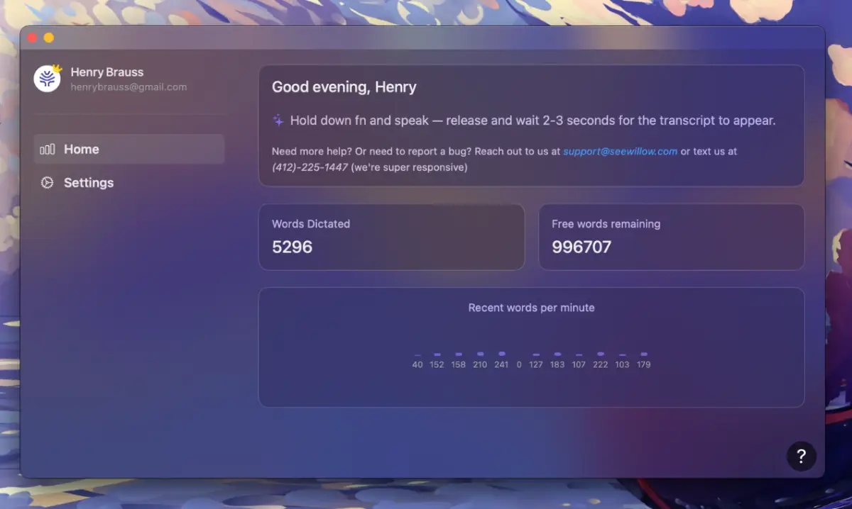 Willow Voice screenshot 2