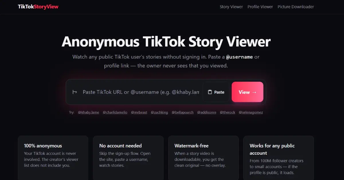 TikTok Story Viewer product image