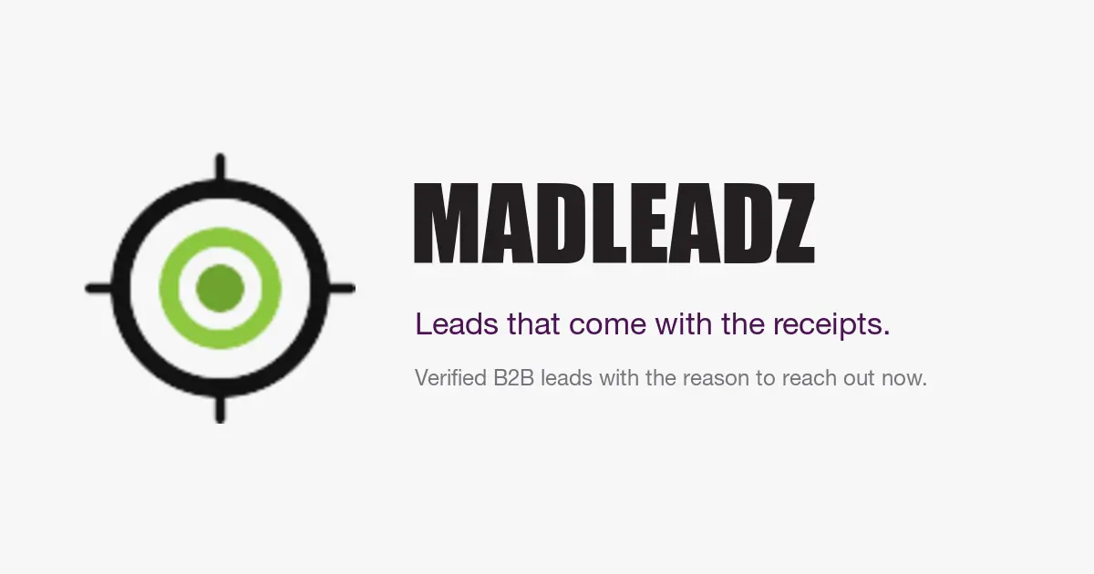 MadLeadz screenshot 1