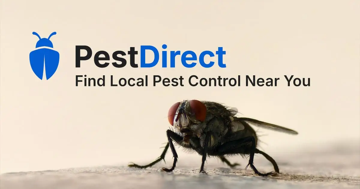 Pest Direct screenshot 1