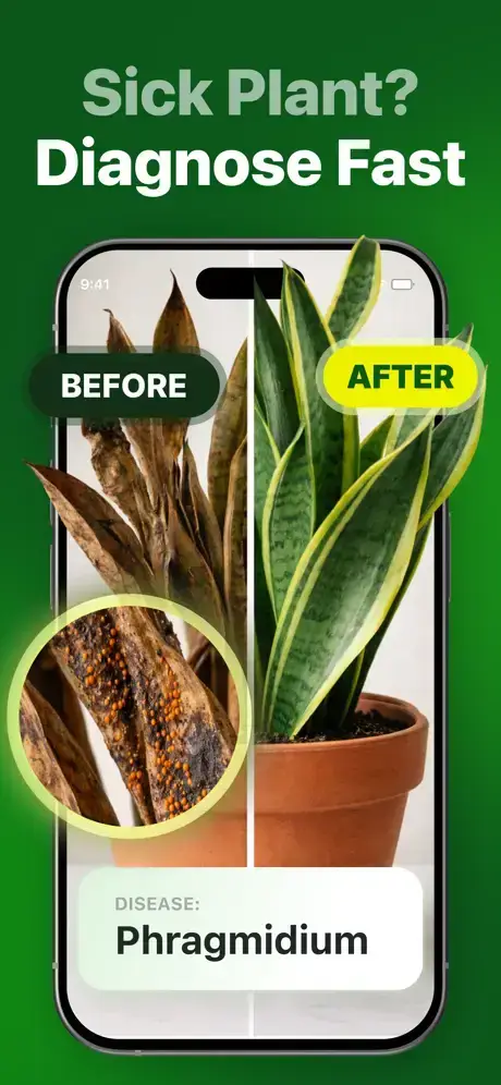 BotanApp image number 11