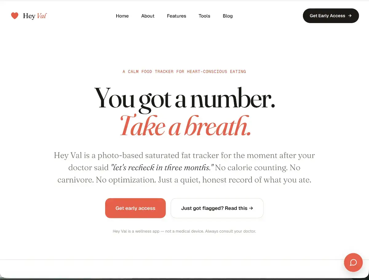 Hey Val product image
