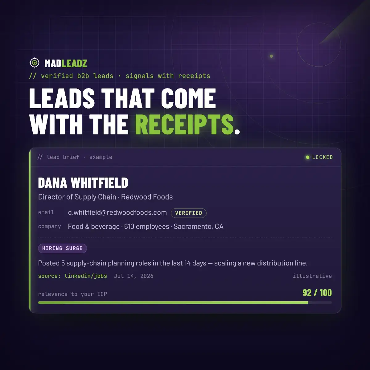 MadLeadz screenshot 2