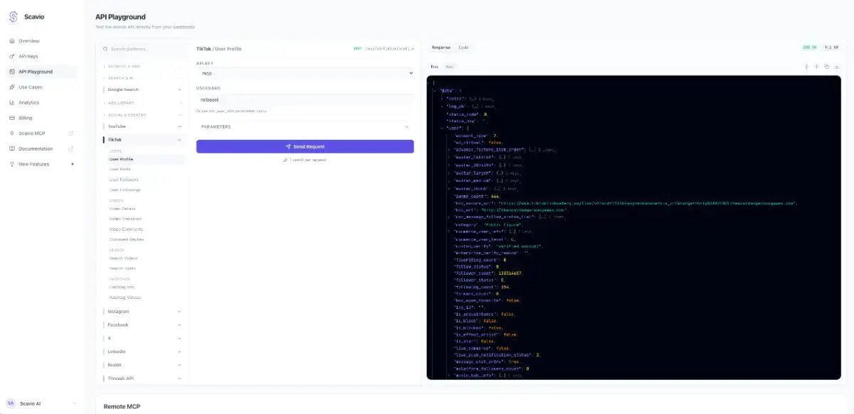 Scavio AI screenshot 3
